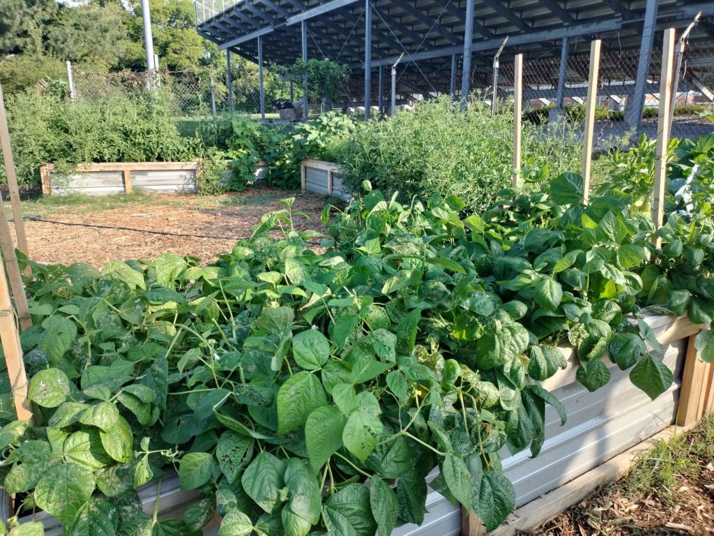 img20240701084440661217144981398505