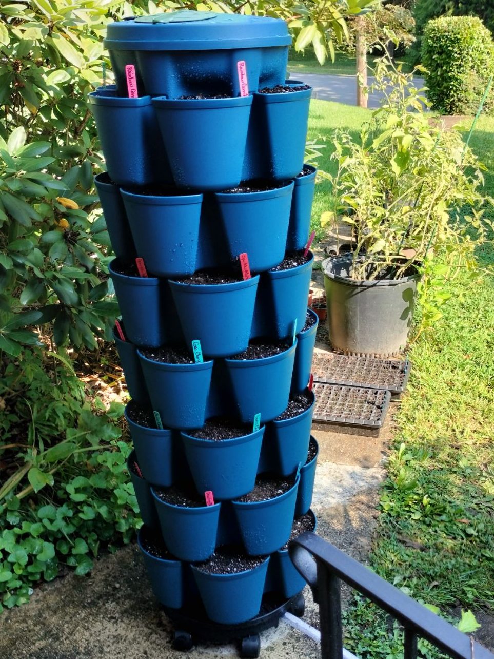 img202509041019381411436653280902632