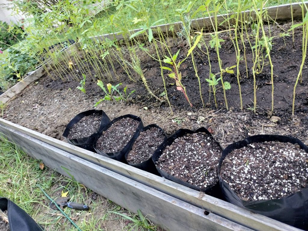 img2025090717460019781904534971270