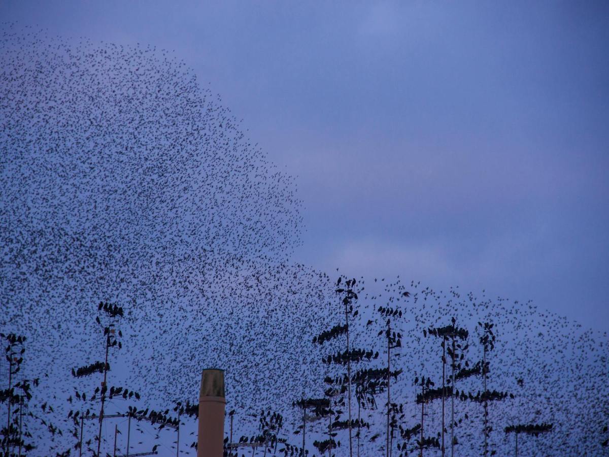 Grief Has No&nbsp;Timeline